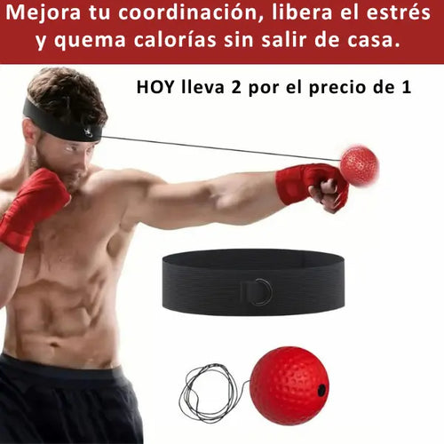 🎄¡Pelota de reflejos de boxeo de nuevo estilo! Compra 1 y obtén la segunda gratis